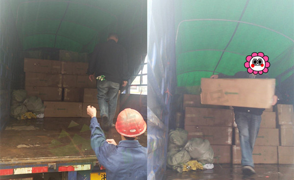 1525676981578922.jpg 800618536381683856.jpg