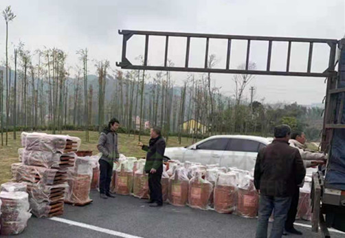 湖南垃圾桶 湖南垃圾桶