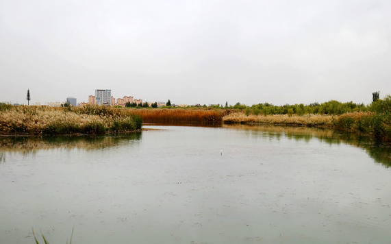 湖南垃圾桶 湖南垃圾桶